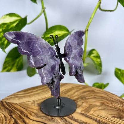 Amethyst Schmetterling (#2)