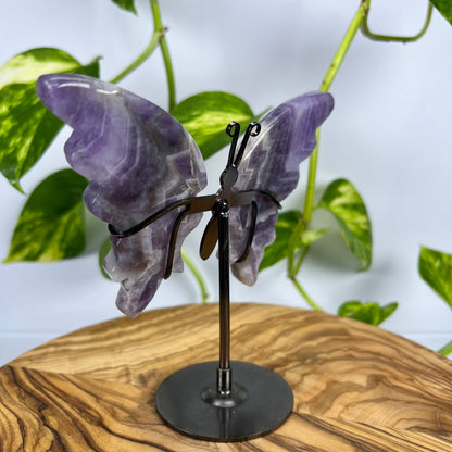 Amethyst Schmetterling (#3)