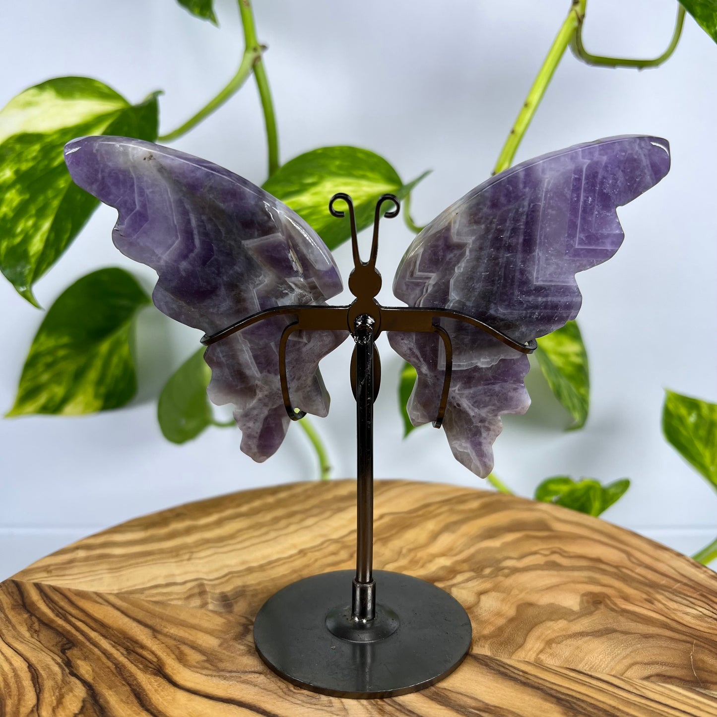 Amethyst Schmetterling (#3)