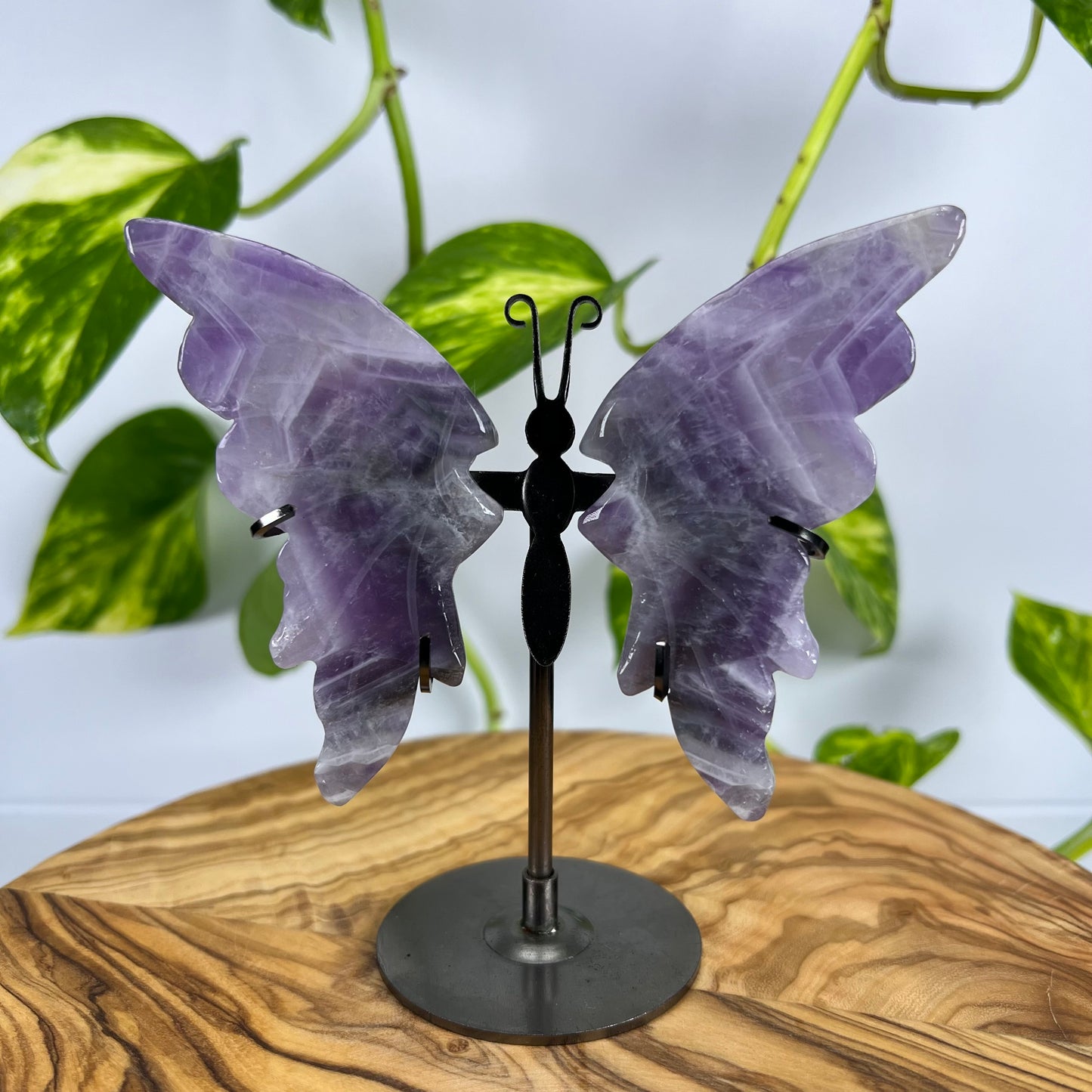 Amethyst Schmetterling (#4)