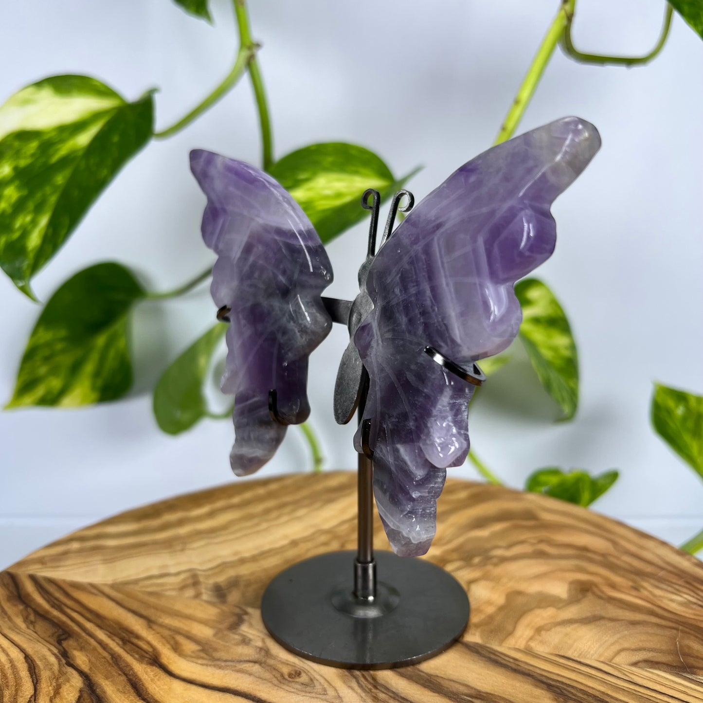 Amethyst Schmetterling (#4)