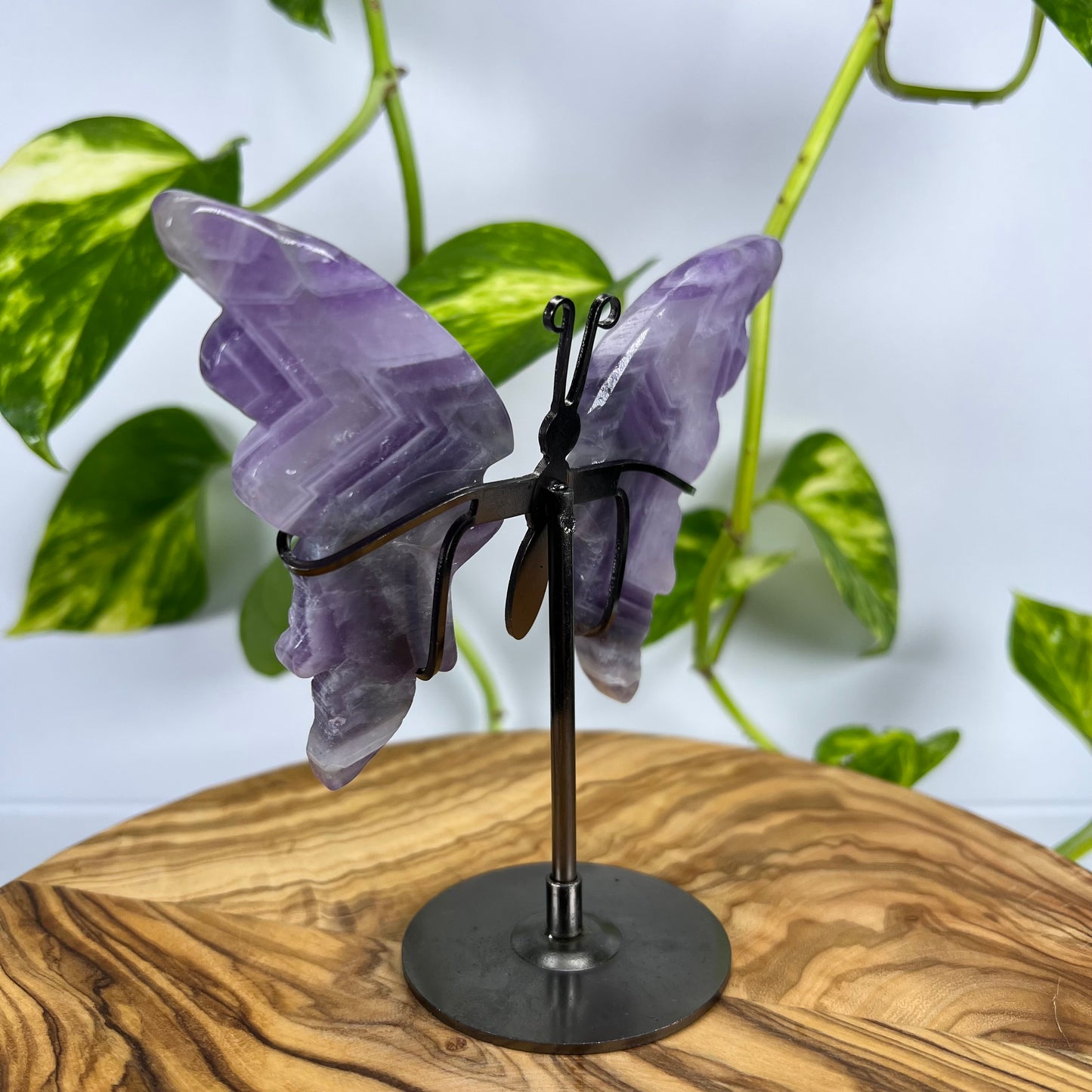 Amethyst Schmetterling (#4)