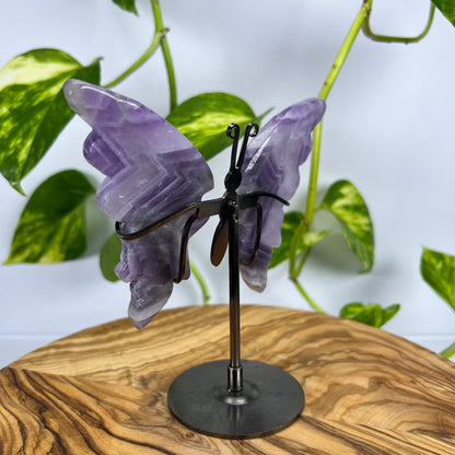 Amethyst Schmetterling (#4)