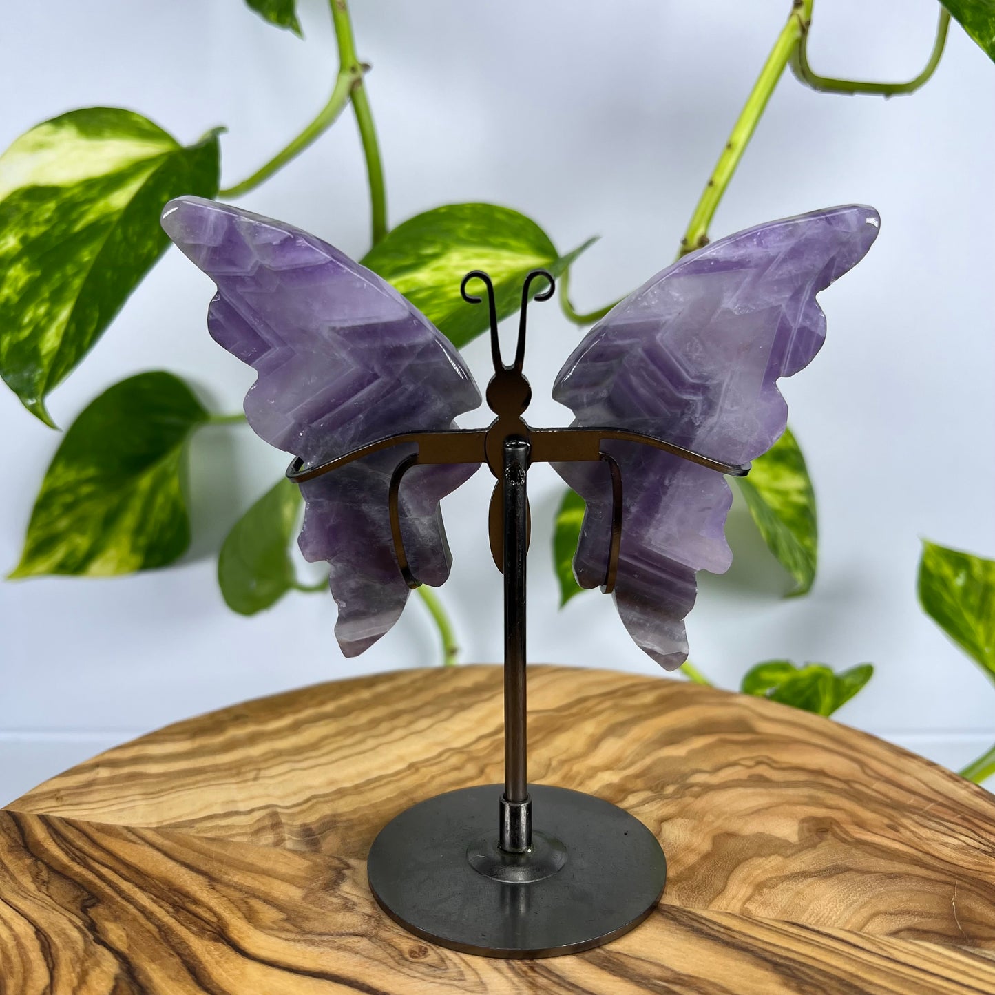 Amethyst Schmetterling (#4)