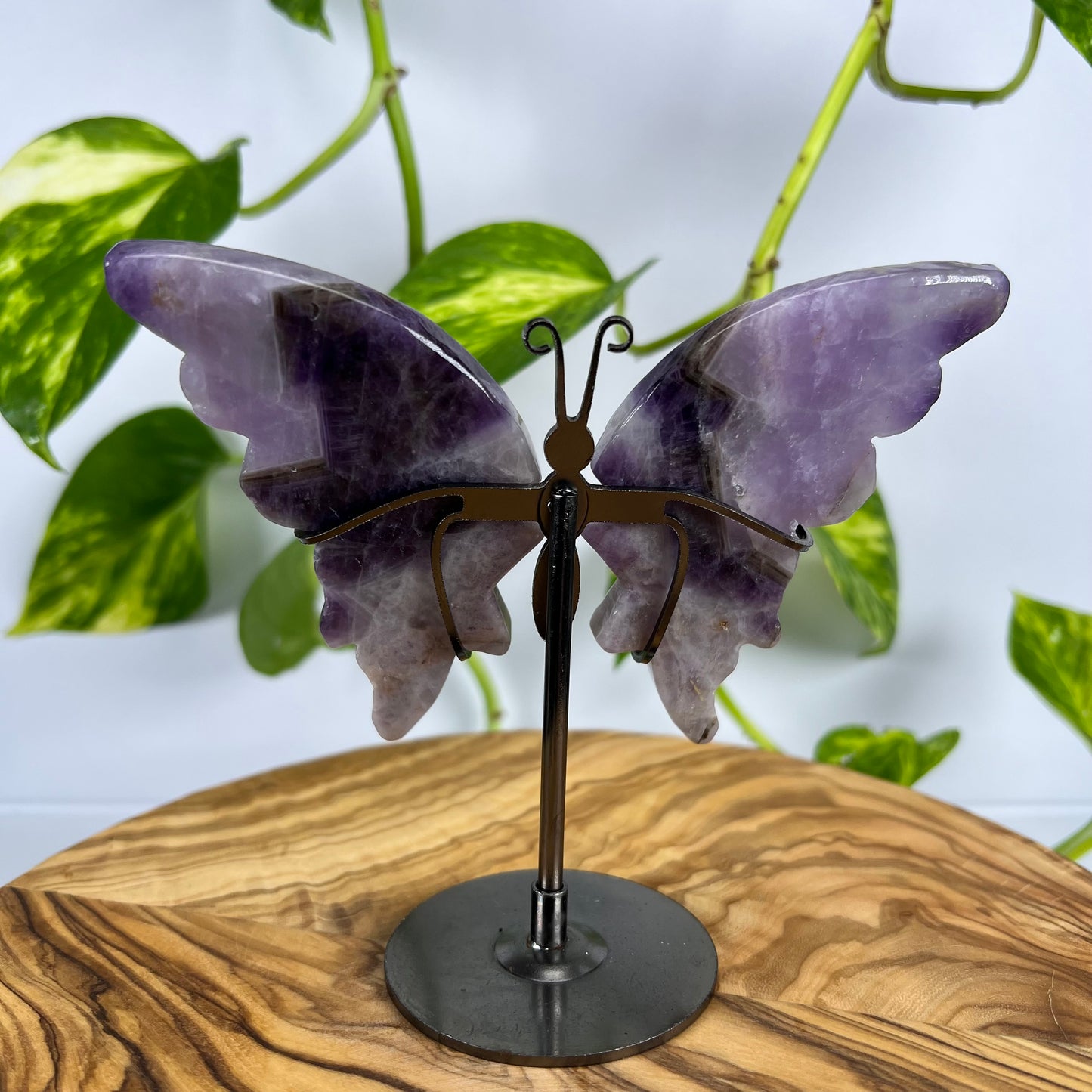 Amethyst Schmetterling (#5)