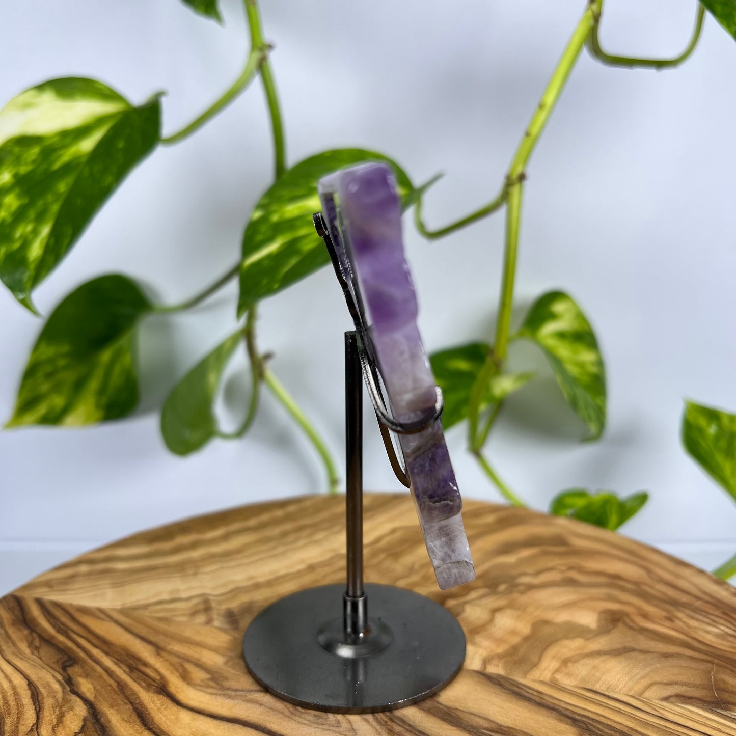 Amethyst Schmetterling (#5)