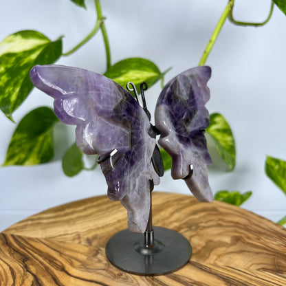 Amethyst Schmetterling (#5)